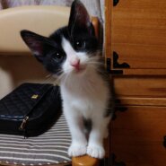 生後２ヶ月半男の子