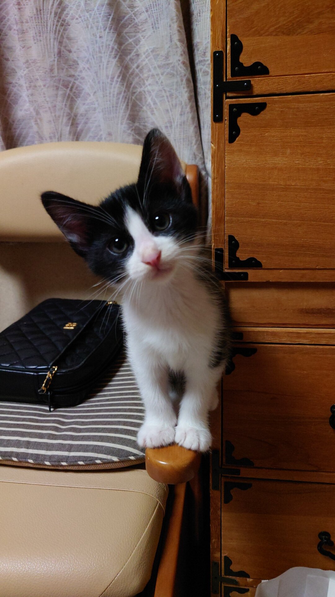 生後２ヶ月半男の子