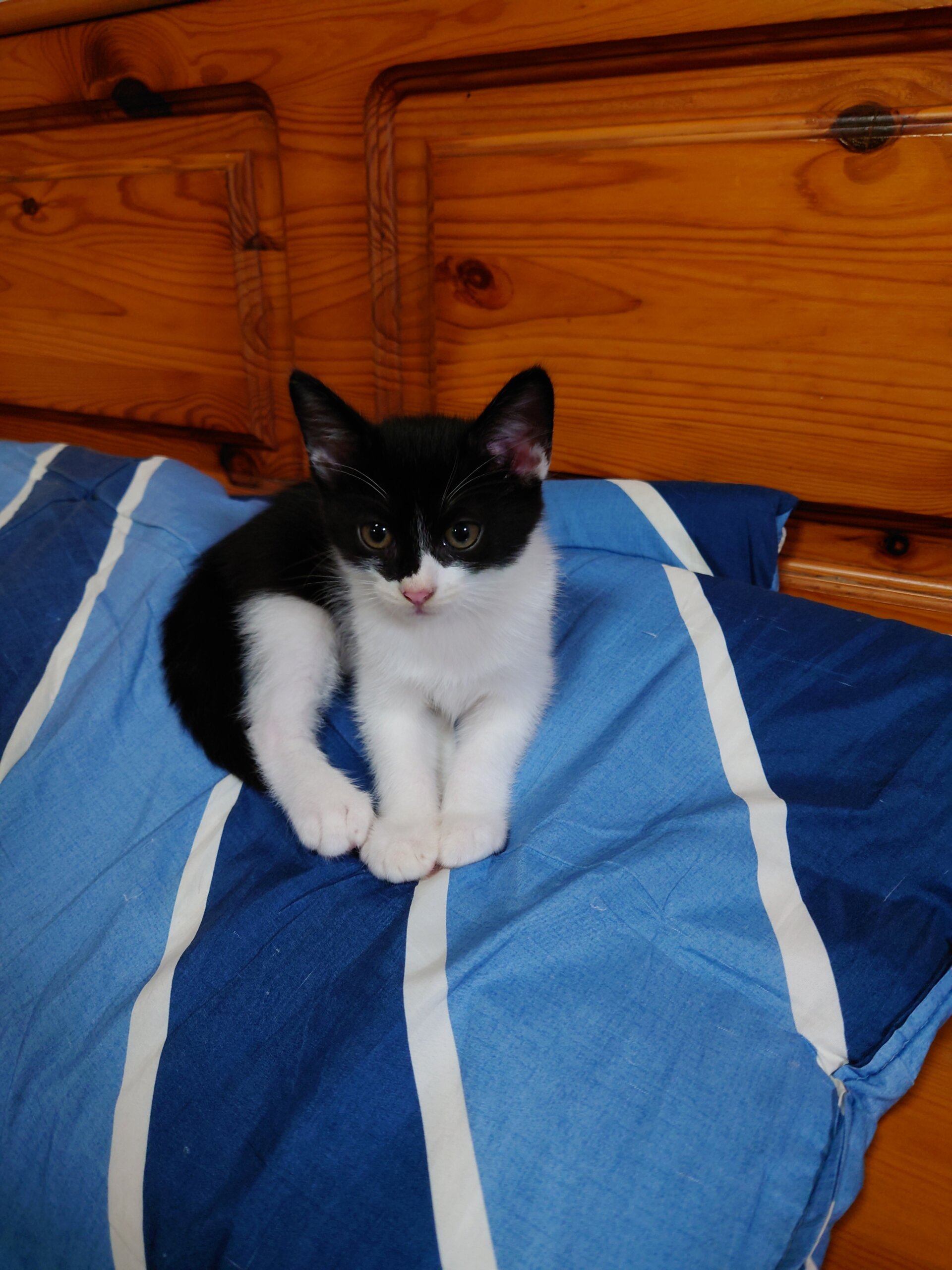 生後２ヶ月半男の子