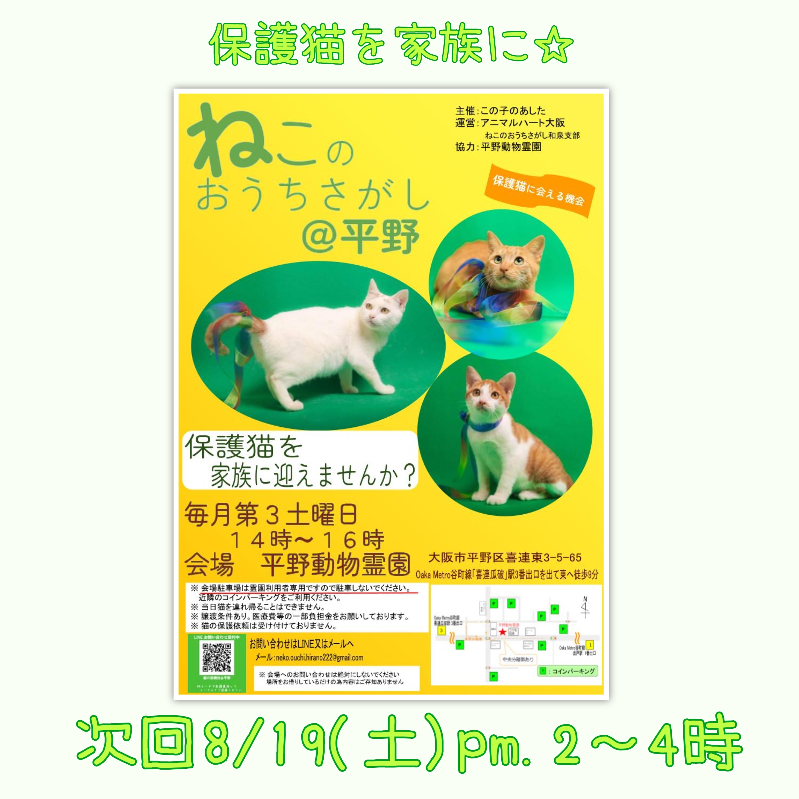 8/19(土)ねこのおうちさがし＠平野