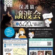 保護猫の譲渡会