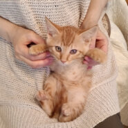 ４月生まれの５兄妹♡おっとり系の『かい』