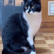 のんびりすずちゃん❣️