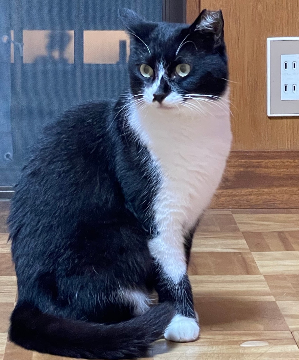 のんびりすずちゃん❣️