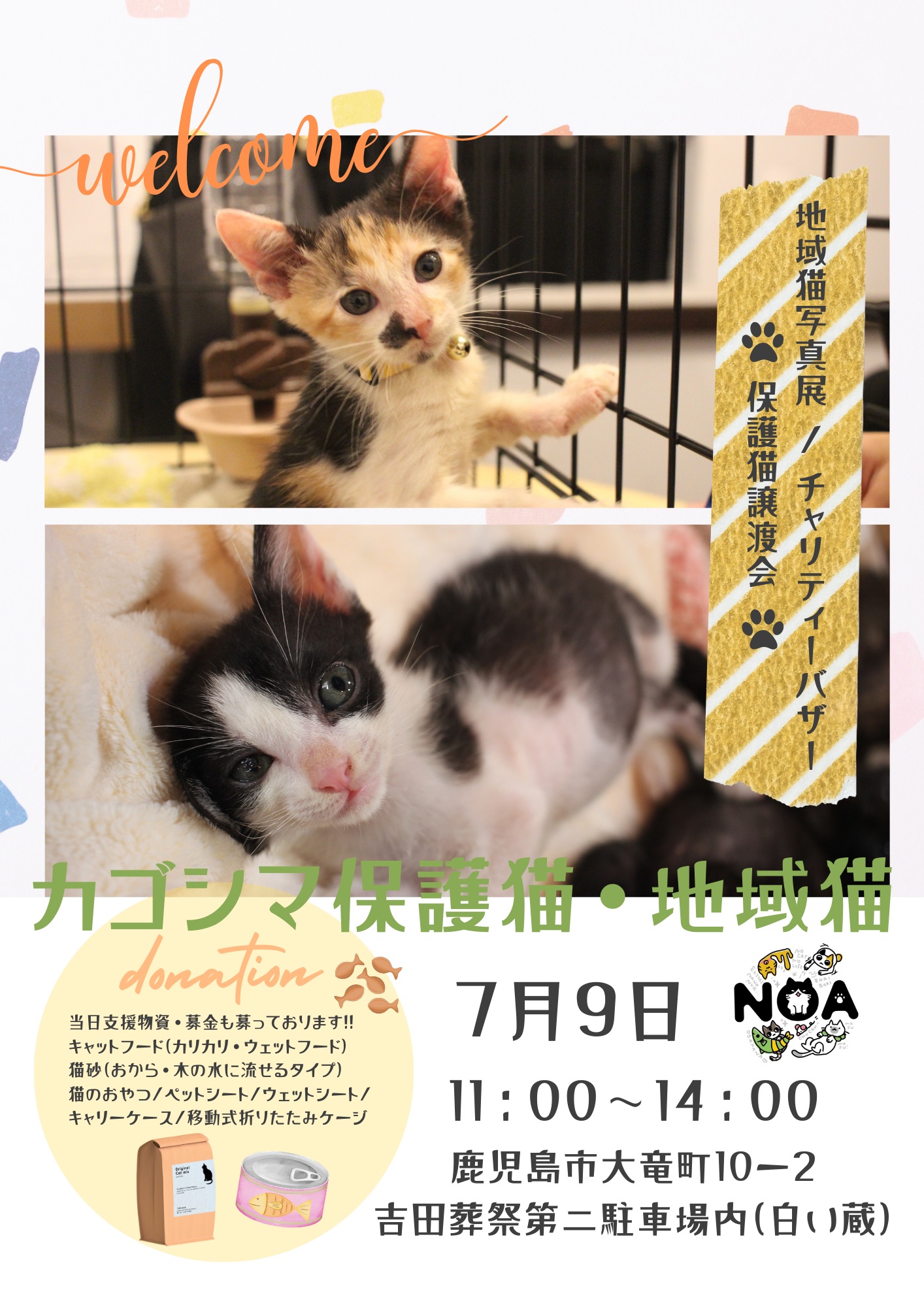 鹿児島猫譲渡会＆チャリティーイベント
