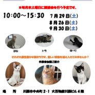 保護猫譲渡会