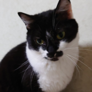 お尻ポンポンが大好きな・とわちゃん２才