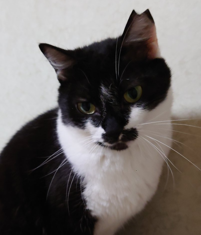 お尻ポンポンが大好きな・とわちゃん２才