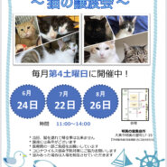 四条畷駅　猫の譲渡会