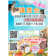 猫の譲渡会&チャリティマルシェ