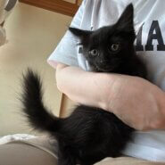 生後2ヶ月の男の子