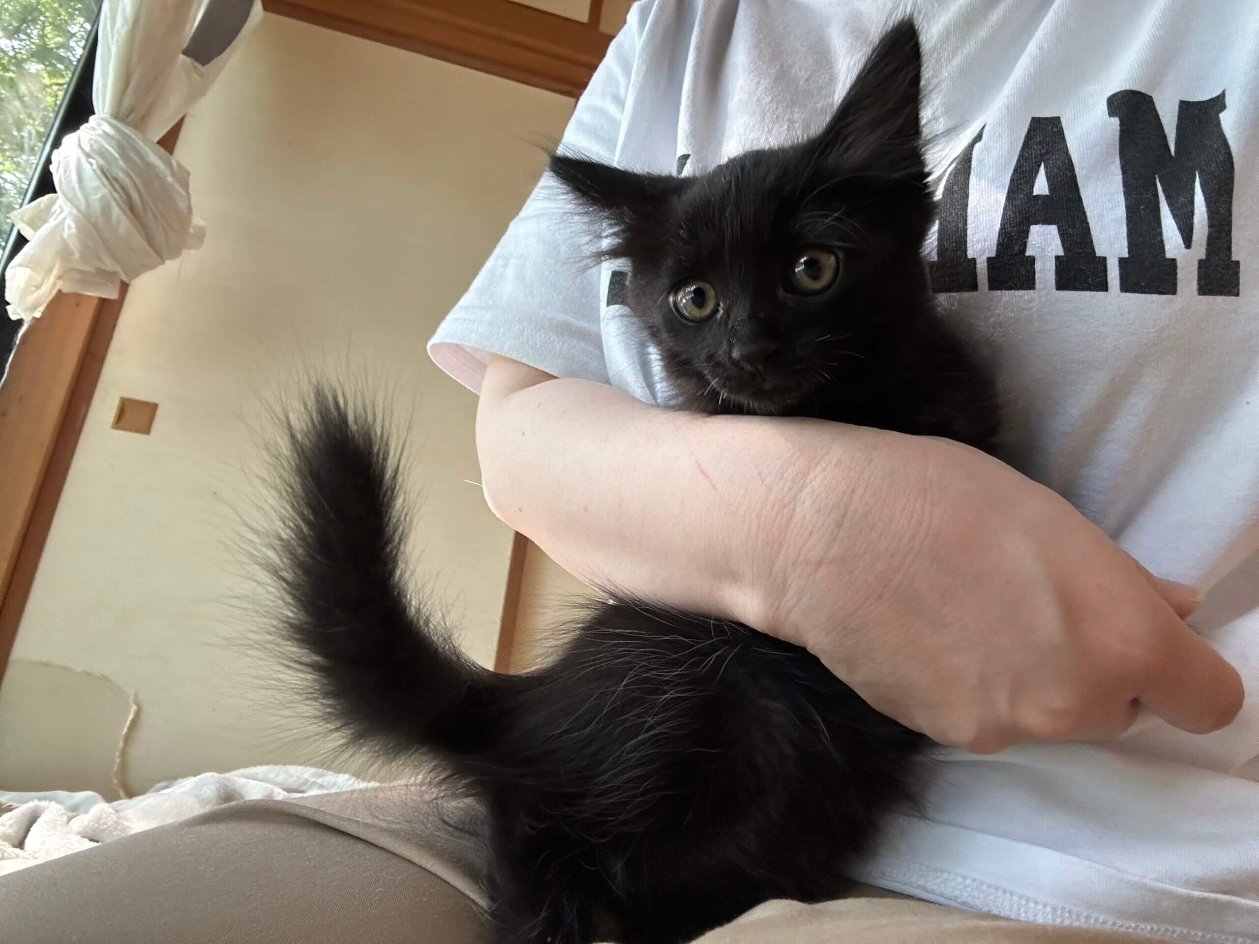 生後2ヶ月の男の子