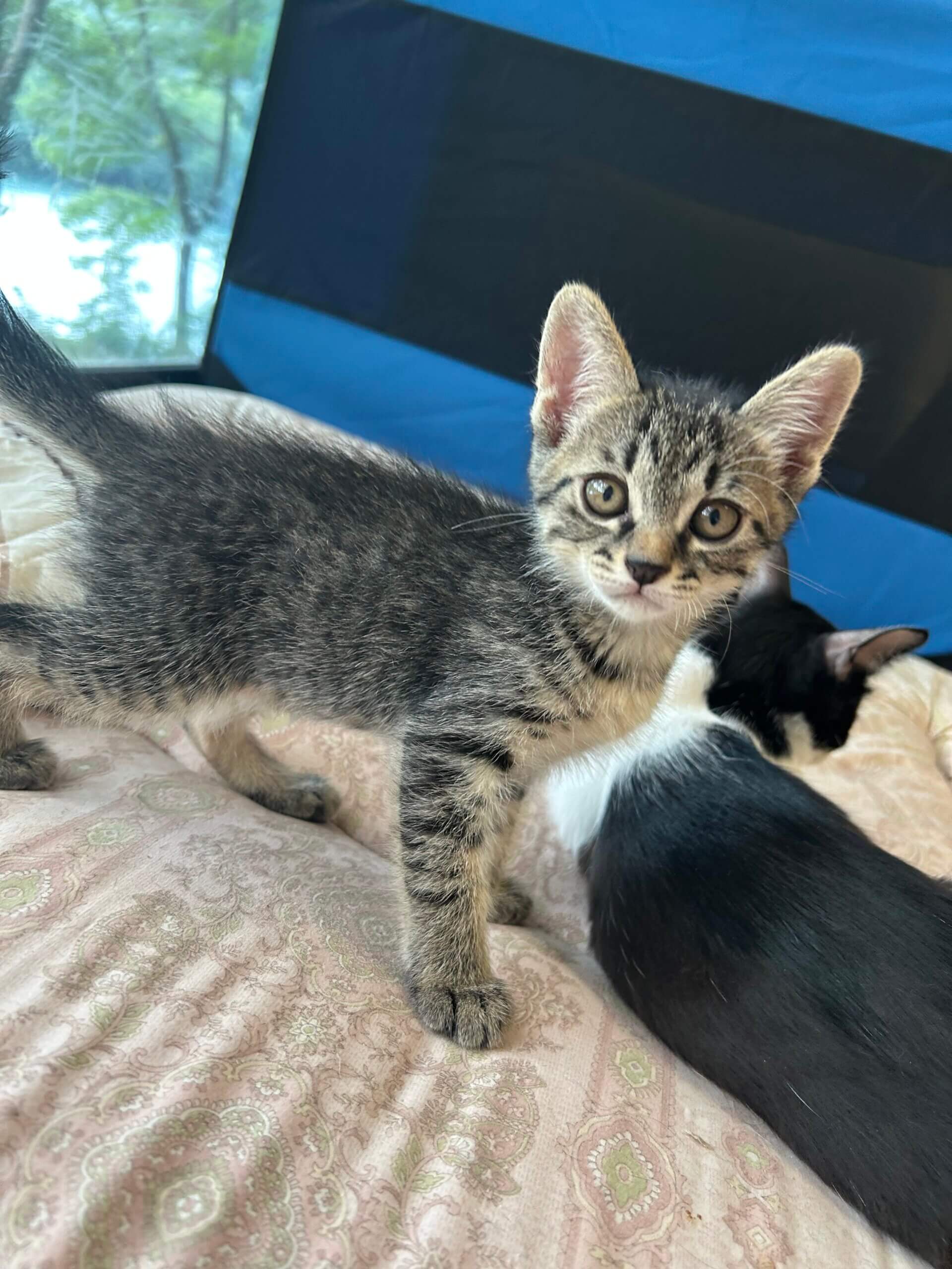 生後2ヶ月の男の子