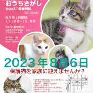 第46回☆ねこのおうちさがし@あびこ動物病院