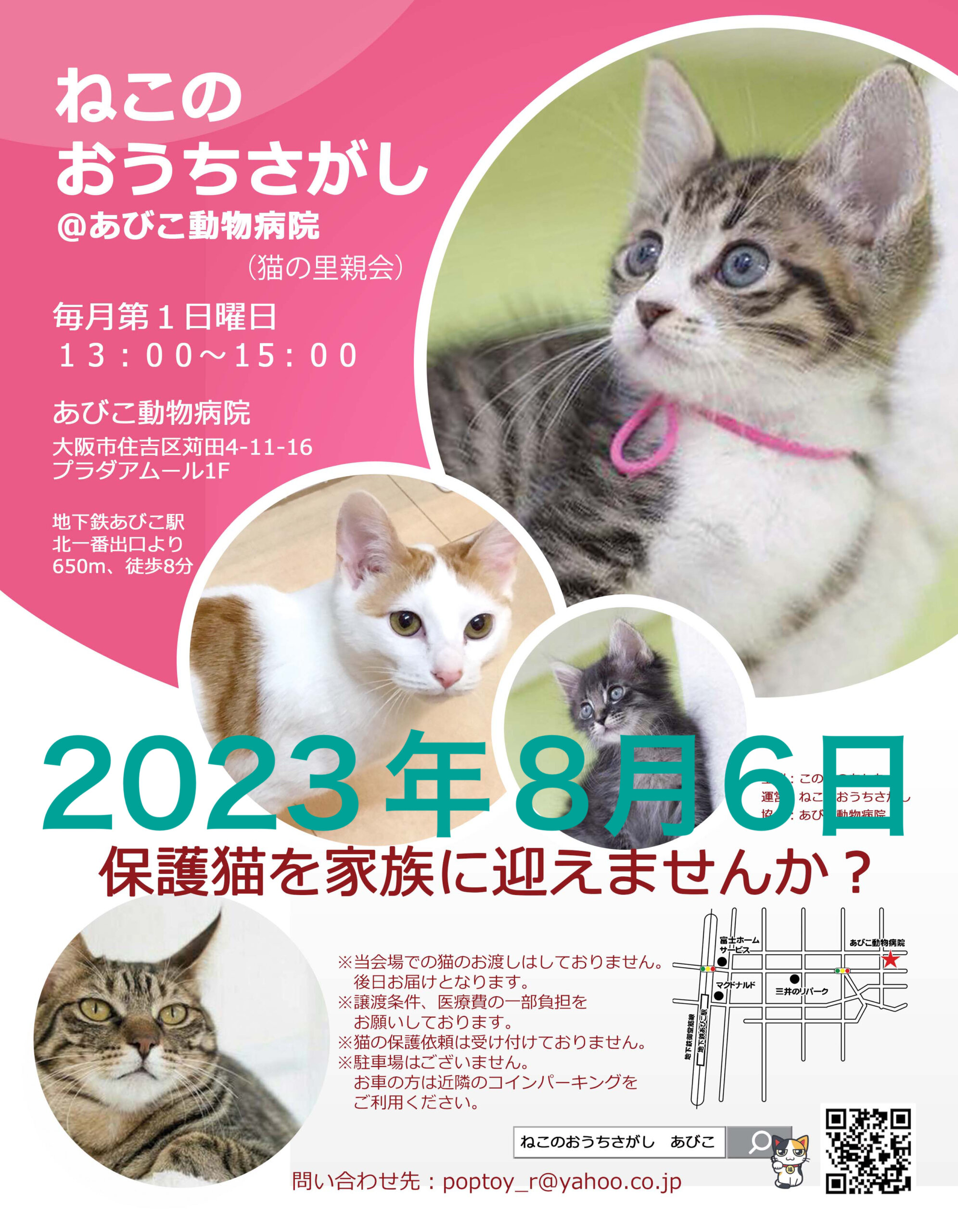 第46回☆ねこのおうちさがし@あびこ動物病院