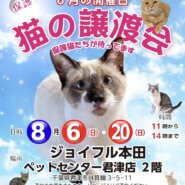 【千葉県君津市】猫の譲渡会