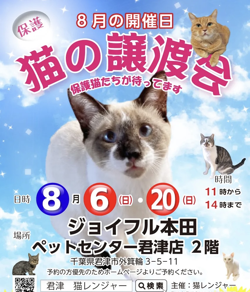 【千葉県君津市】猫の譲渡会