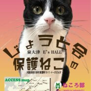 保護ねこの譲渡会　泉大津