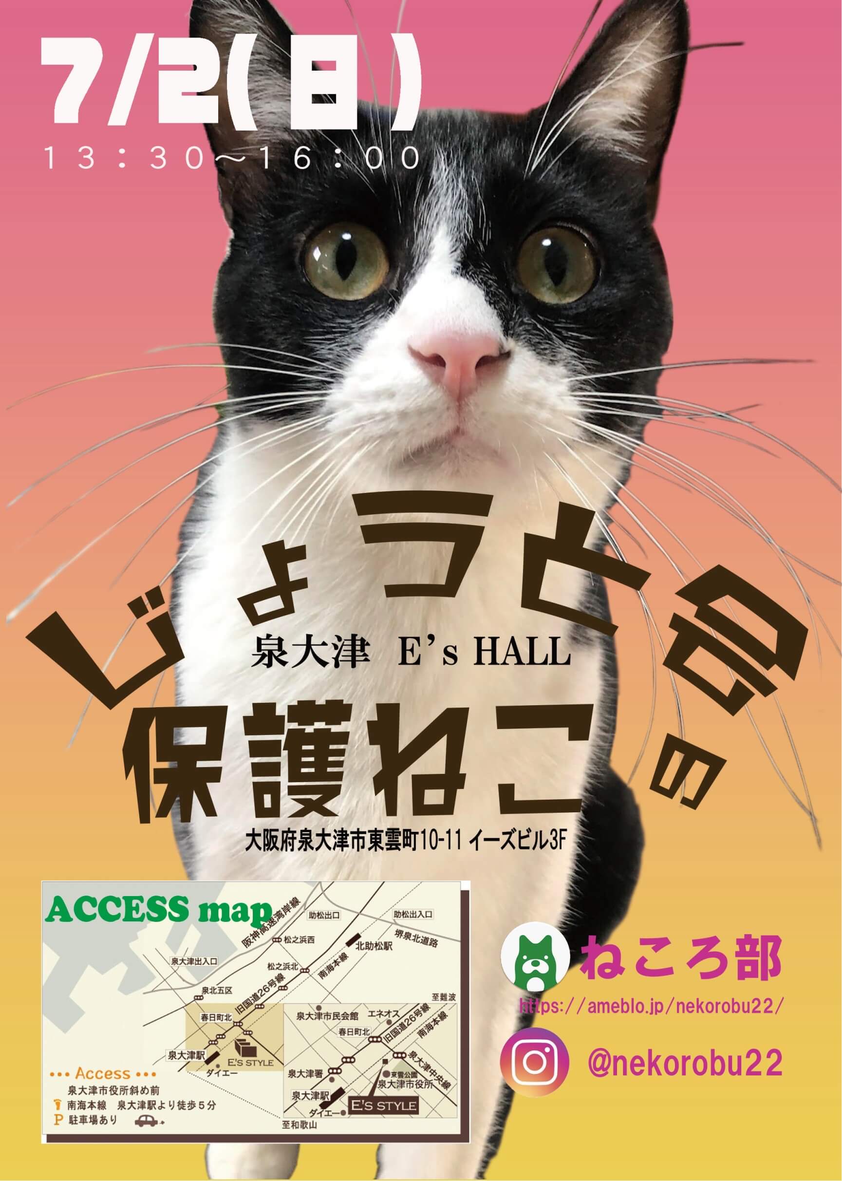 保護ねこの譲渡会　泉大津