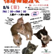 保護猫譲渡会inハーベストの丘