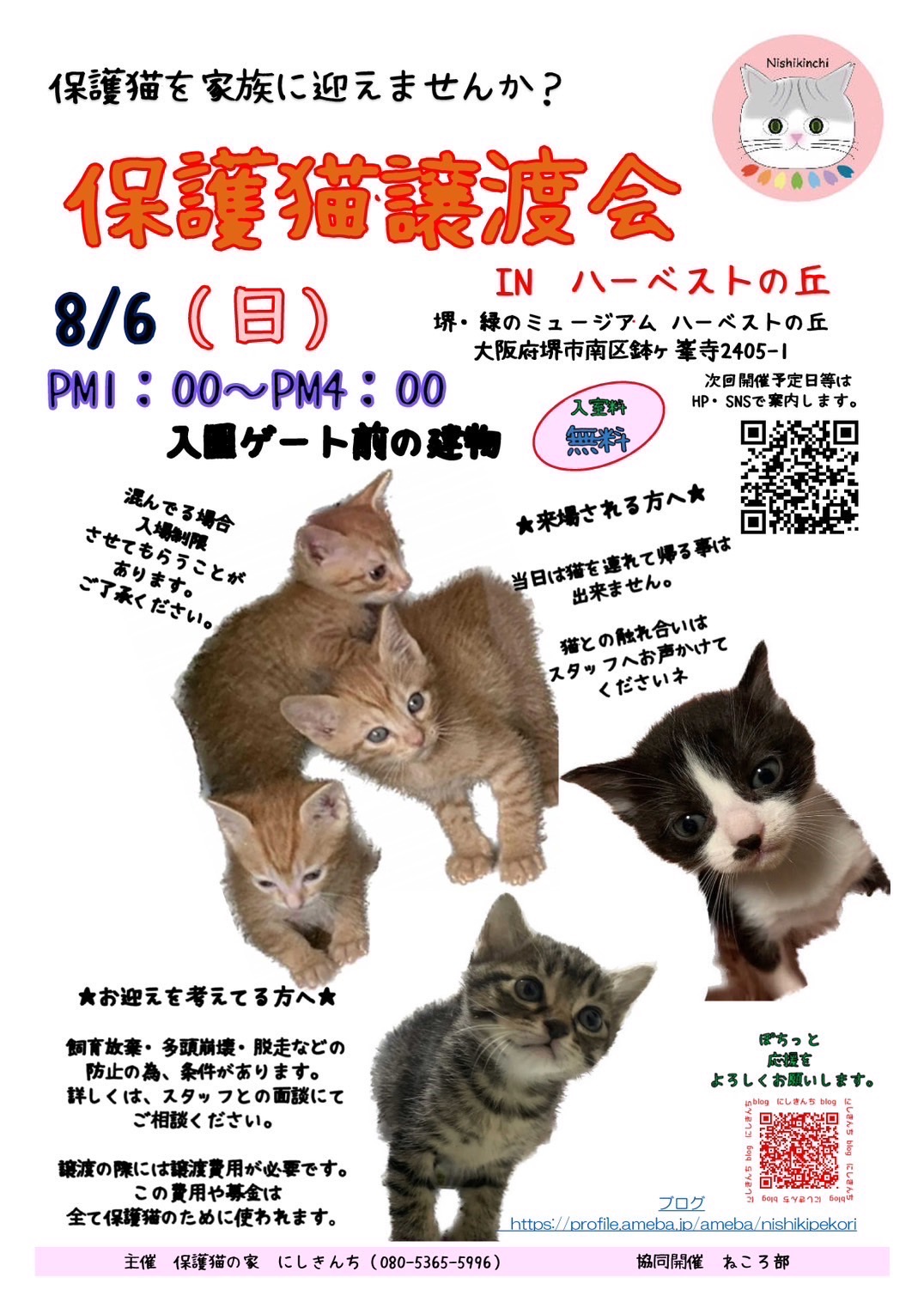 保護猫譲渡会inハーベストの丘