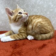 兄弟で初参加！甘えて落とす落としの❤諭吉