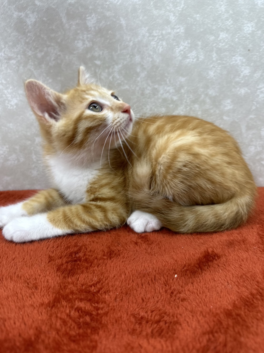 兄弟で初参加！甘えて落とす落としの❤諭吉