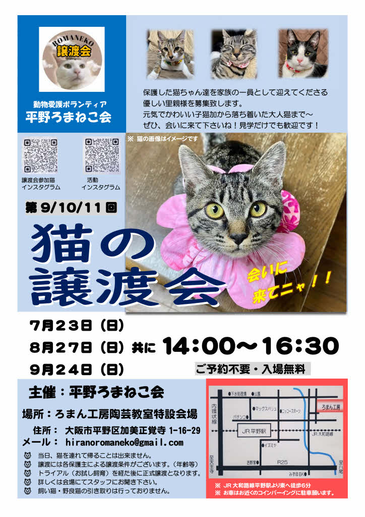 第9回平野ろまねこ譲渡会