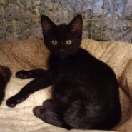 ４月生まれの５兄妹♡おてんばさんの『つばき』