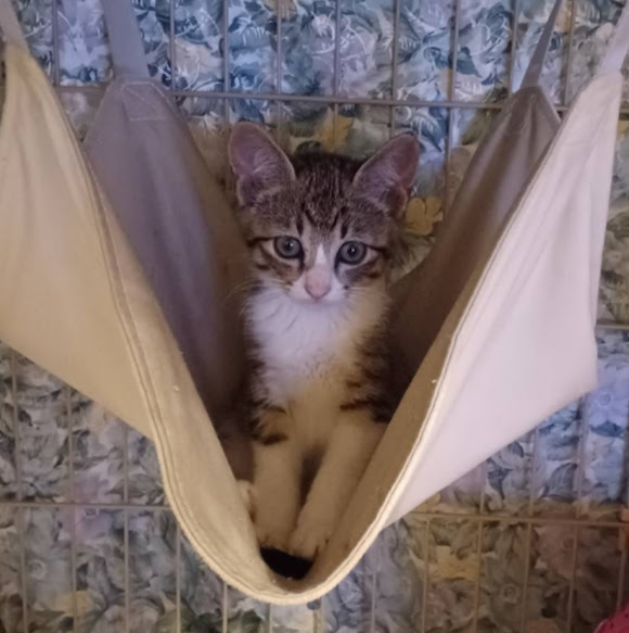 ４月生まれの５兄妹♡頑張り屋さんの『れん』