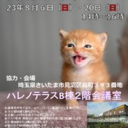 【さいたま市】８/６（日）ハレノテラス保護猫譲渡会