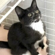 生後3か月の女の子 くつした２号(仮名)