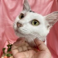 初心者向き！おっとり穏やか♪癒し系『ののちゃん』