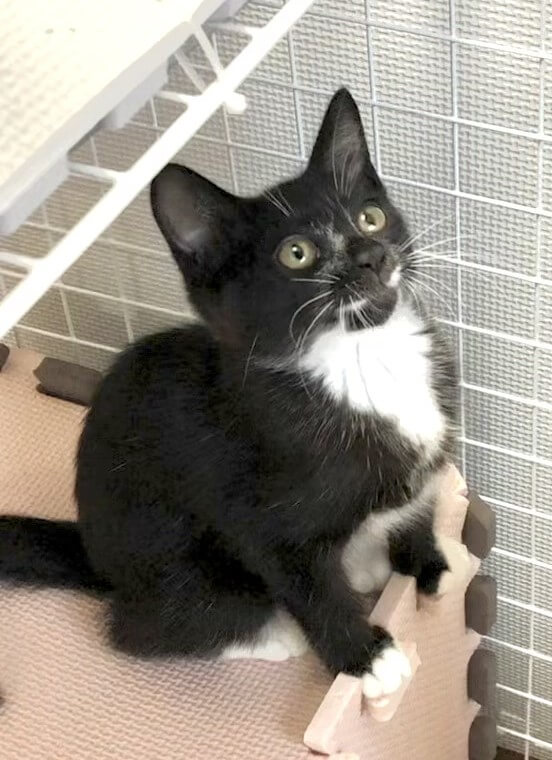 生後3か月の女の子 くつした２号(仮名)