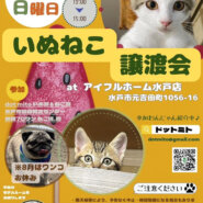 譲渡会 at アイフルホーム水戸店