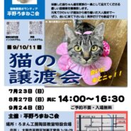 第11回平野ろまねこ譲渡会