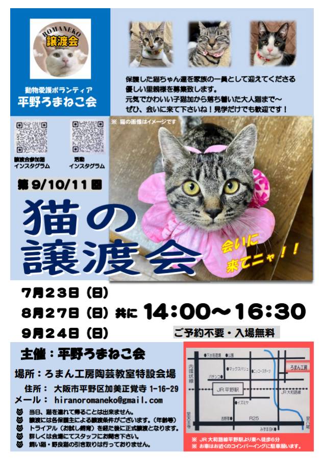 第11回平野ろまねこ譲渡会