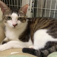 ずっと愛して♥超ド級の甘えんぼ♪松潤くん