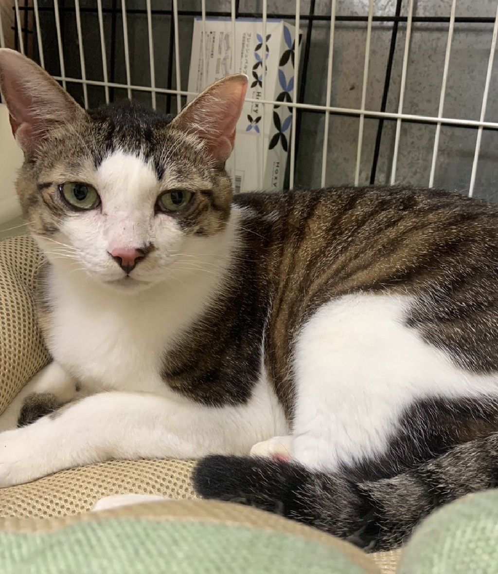 ずっと愛して♥超ド級の甘えんぼ♪松潤くん