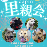 CAPIN里親会INつくばCASA