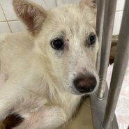 目が可愛い男の子