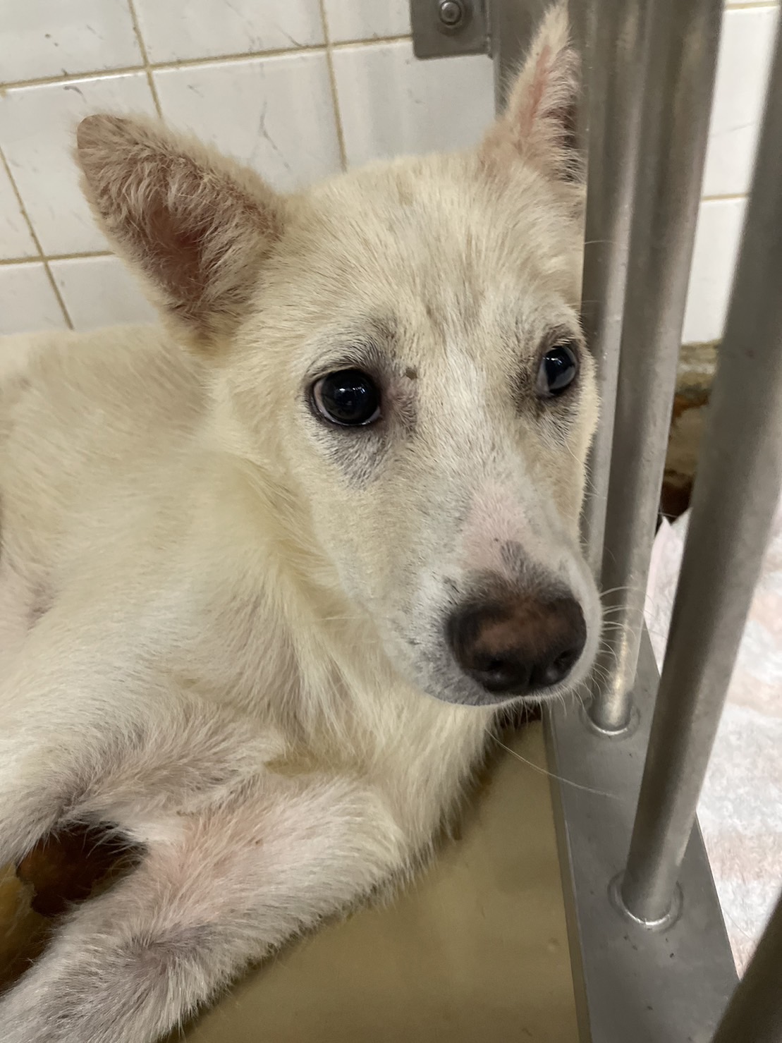 目が可愛い男の子