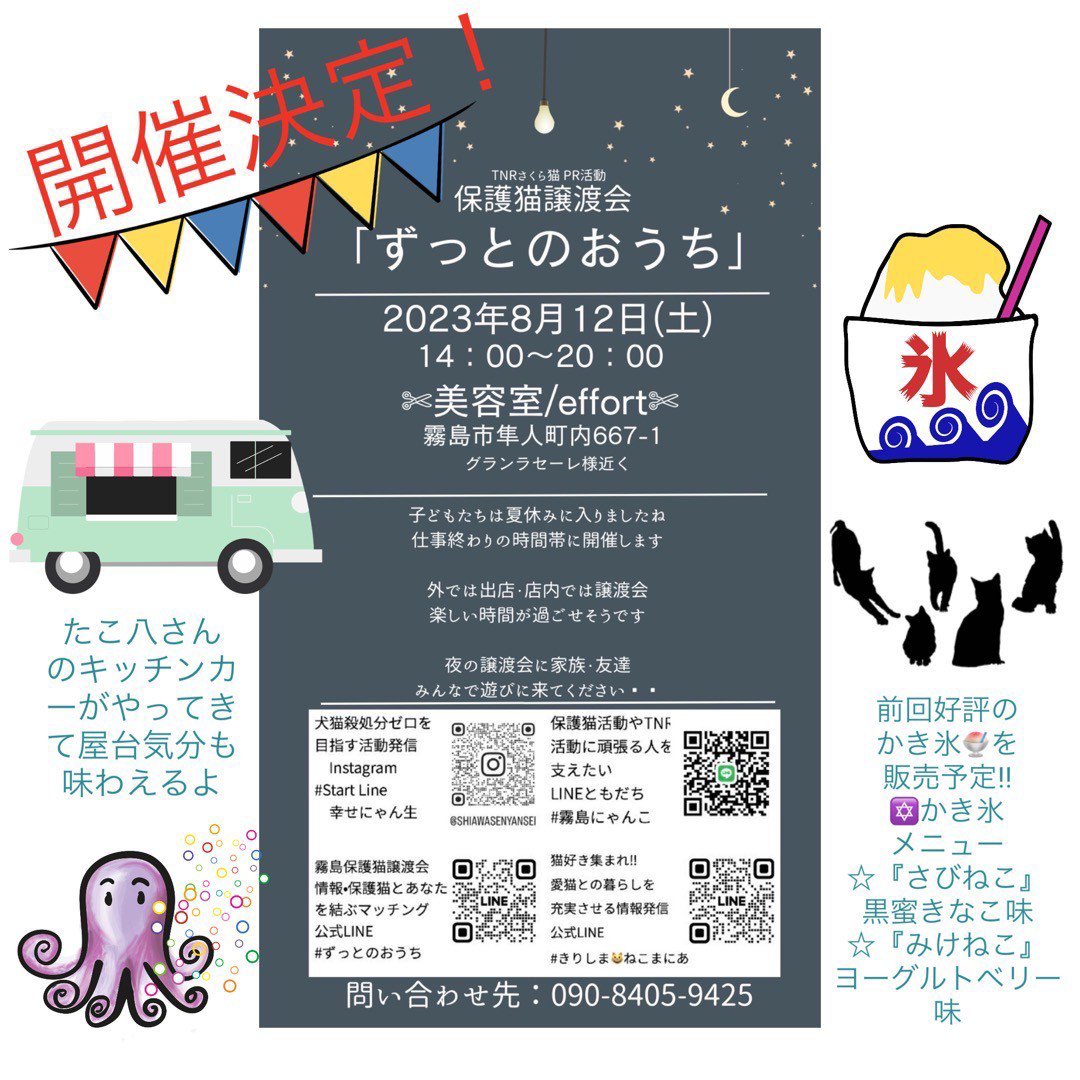 保護猫讓渡会『ずっとのおうち』