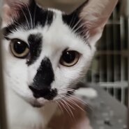 生後5カ月の女の子です