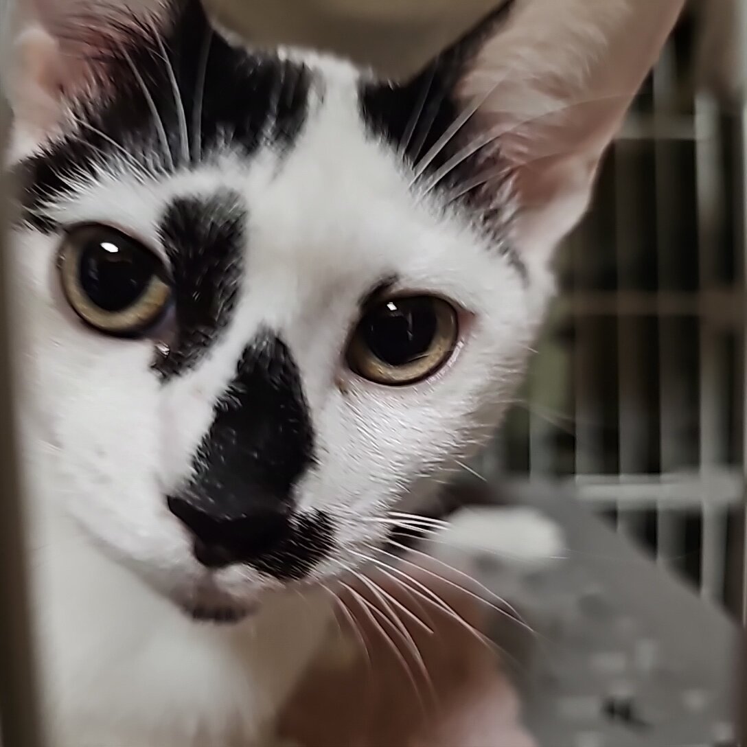 生後5カ月の女の子です