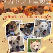 メガドンキ里親会