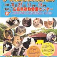 犬猫譲渡会
