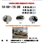 保護猫譲渡会