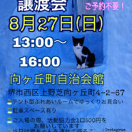 保護猫の譲渡会