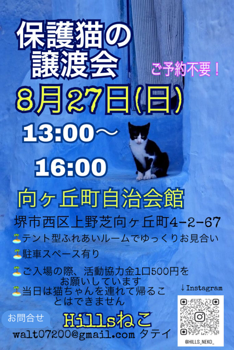 保護猫の譲渡会